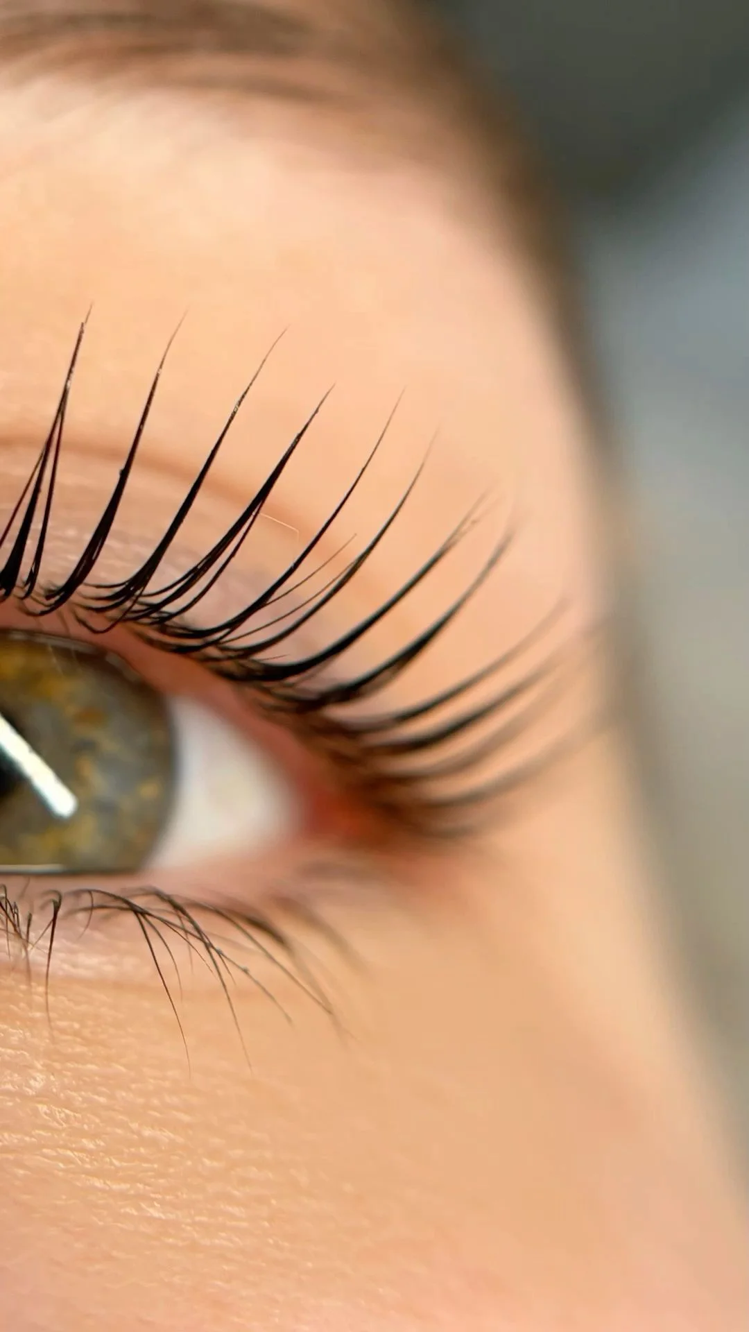 Classic Lashlift Behandlung in Langen